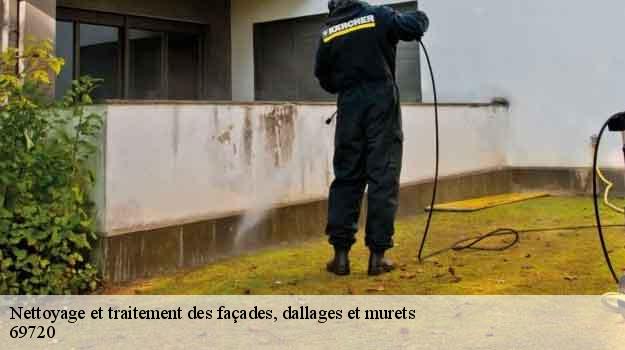 Nettoyage et traitement des façades, dallages et murets  saint-laurent-de-mure-69720 Balland élagueur paysagiste