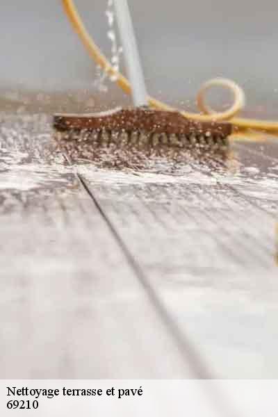 Nettoyage terrasse et pavé  l-arbresle-69210 Balland élagueur paysagiste