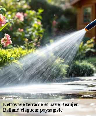 Nettoyage terrasse et pavé  beaujeu-69430 Balland élagueur paysagiste