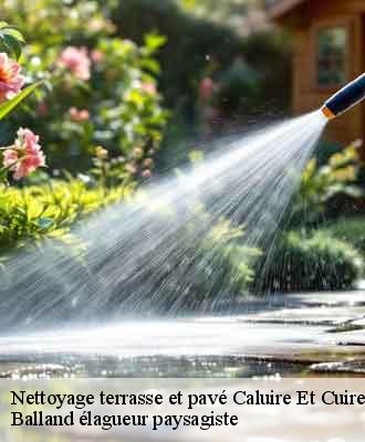 Nettoyage terrasse et pavé  caluire-et-cuire-69300 Balland élagueur paysagiste
