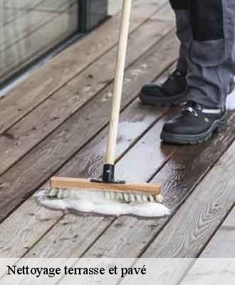 Nettoyage terrasse et pavé  chenas-69840 Balland élagueur paysagiste