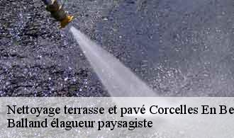 Nettoyage terrasse et pavé  corcelles-en-beaujolais-69220 Balland élagueur paysagiste