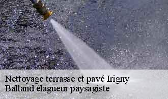 Nettoyage terrasse et pavé  irigny-69540 Balland élagueur paysagiste