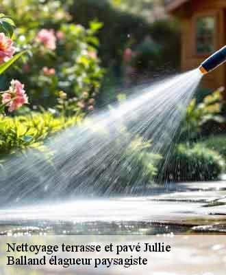 Nettoyage terrasse et pavé  jullie-69840 Balland élagueur paysagiste