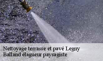 Nettoyage terrasse et pavé  legny-69620 Balland élagueur paysagiste