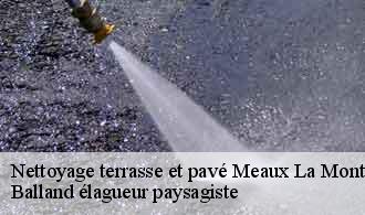 Nettoyage terrasse et pavé  meaux-la-montagne-69550 Balland élagueur paysagiste