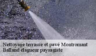 Nettoyage terrasse et pavé  montromant-69610 Balland élagueur paysagiste