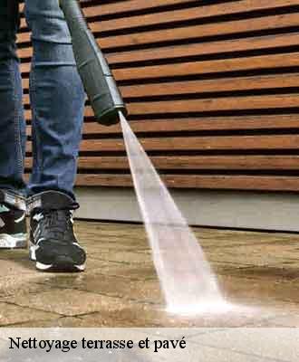 Nettoyage terrasse et pavé  nuelles-69210 Balland élagueur paysagiste