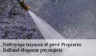 Nettoyage terrasse et pavé  propieres-69790 Balland élagueur paysagiste