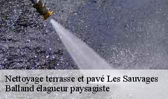 Nettoyage terrasse et pavé  les-sauvages-69170 Balland élagueur paysagiste