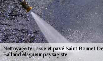 Nettoyage terrasse et pavé  saint-bonnet-des-bruyeres-69790 Balland élagueur paysagiste