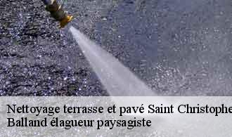 Nettoyage terrasse et pavé  saint-christophe-69860 Balland élagueur paysagiste