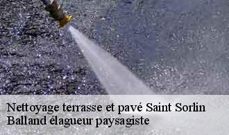 Nettoyage terrasse et pavé  saint-sorlin-69440 Balland élagueur paysagiste