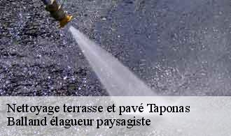 Nettoyage terrasse et pavé  taponas-69220 Balland élagueur paysagiste