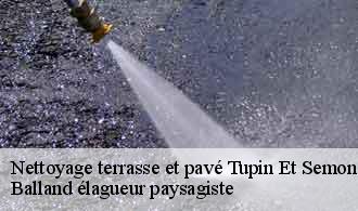 Nettoyage terrasse et pavé  tupin-et-semons-69420 Balland élagueur paysagiste