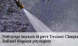 Nettoyage terrasse et pavé  decines-charpieu-69150 Balland élagueur paysagiste