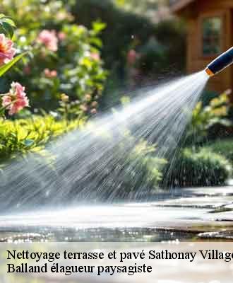 Nettoyage terrasse et pavé  sathonay-village-69580 Balland élagueur paysagiste