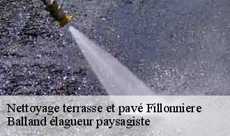 Nettoyage terrasse et pavé  fillonniere-69440 Balland élagueur paysagiste