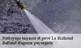 Nettoyage terrasse et pavé  le-richoud-69440 Balland élagueur paysagiste