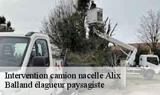 Intervention camion nacelle alix-69380 Balland élagueur paysagiste
