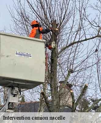 Intervention camion nacelle  arbuissonnas-69460 Balland élagueur paysagiste