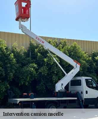 Intervention camion nacelle belmont-69380 Balland élagueur paysagiste