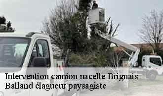 Intervention camion nacelle  brignais-69530 Balland élagueur paysagiste