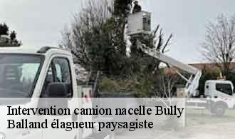 Intervention camion nacelle  bully-69210 Balland élagueur paysagiste