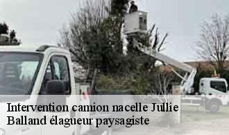 Intervention camion nacelle  jullie-69840 Balland élagueur paysagiste