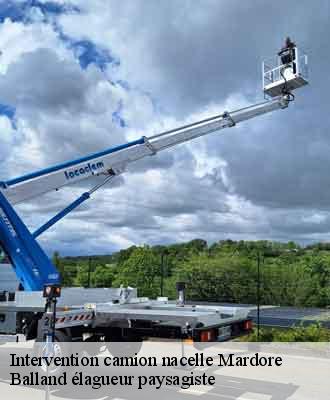 Intervention camion nacelle  mardore-69240 Balland élagueur paysagiste