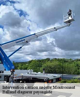 Intervention camion nacelle montromant-69610 Balland élagueur paysagiste