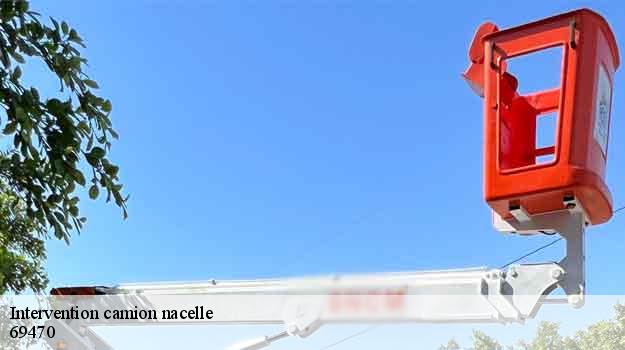 Intervention camion nacelle  ranchal-69470 Balland élagueur paysagiste