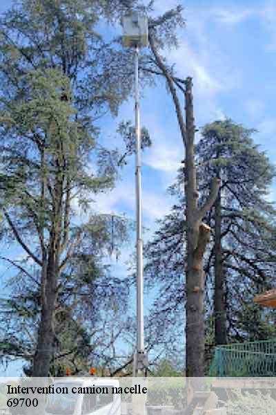 Intervention camion nacelle  saint-andeol-le-chateau-69700 Balland élagueur paysagiste