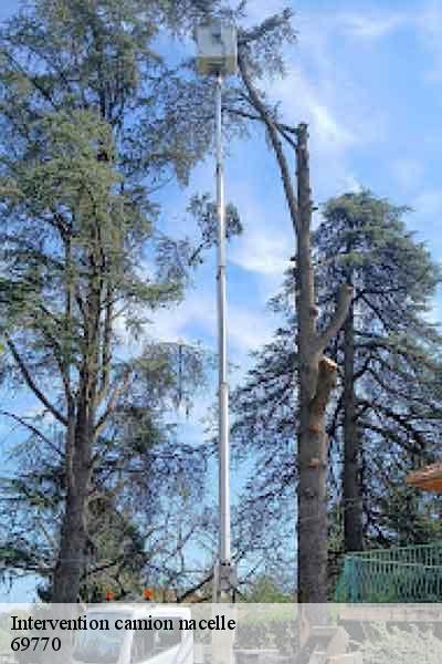 Intervention camion nacelle  villecheneve-69770 Balland élagueur paysagiste