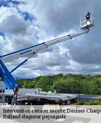 Intervention camion nacelle  decines-charpieu-69150 Balland élagueur paysagiste
