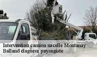 Intervention camion nacelle  montanay-69250 Balland élagueur paysagiste