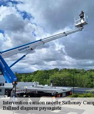 Intervention camion nacelle  sathonay-camp-69580 Balland élagueur paysagiste