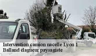 Intervention camion nacelle lyon-1-69001 Balland élagueur paysagiste