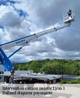 Intervention camion nacelle lyon-1-69001 Balland élagueur paysagiste