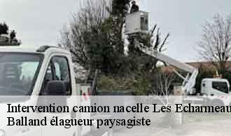 Intervention camion nacelle  les-echarmeaux-69870 Balland élagueur paysagiste