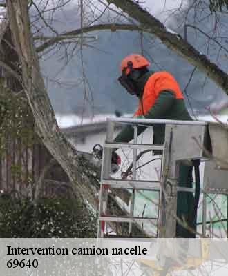 Intervention camion nacelle  la-fouillouse-69640 Balland élagueur paysagiste