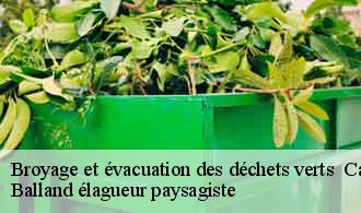 Broyage et évacuation des déchets verts caluire-et-cuire-69300 Balland élagueur paysagiste