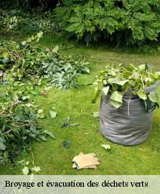 Broyage et évacuation des déchets verts charnay-69380 Balland élagueur paysagiste