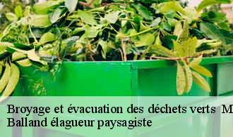 Broyage et évacuation des déchets verts millery-69390 Balland élagueur paysagiste
