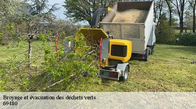 Broyage et évacuation des déchets verts   pommiers-69480 Balland élagueur paysagiste