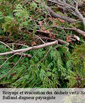 Broyage et évacuation des déchets verts   saint-forgeux-69490 Balland élagueur paysagiste