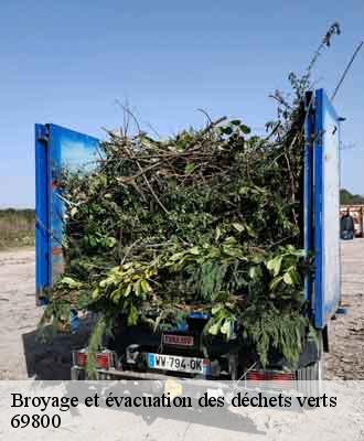 Broyage et évacuation des déchets verts   saint-priest-69800 Balland élagueur paysagiste