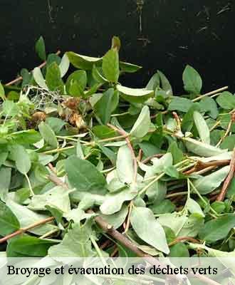 Broyage et évacuation des déchets verts le-batard-69440 Balland élagueur paysagiste