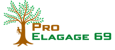elagueur-pro-elagage-69